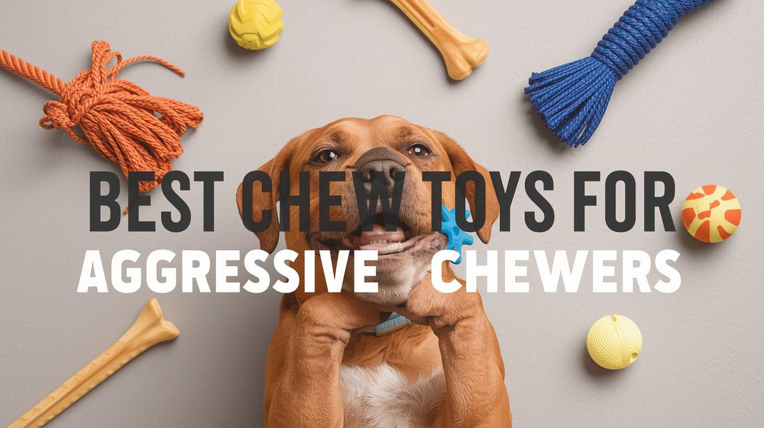 How to Choose the Best Chew Toys for Aggressive Chewers
