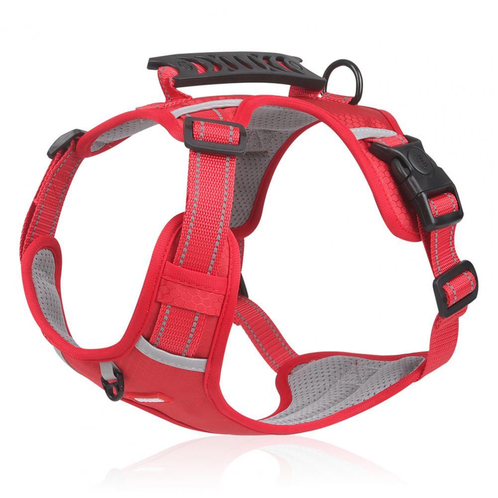 A Breathable Harness for Happy Runs and Relaxed Walks