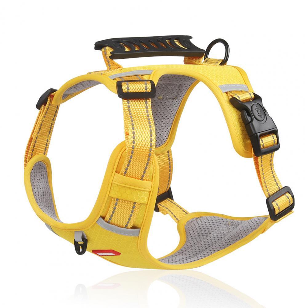 A Breathable Harness for Happy Runs and Relaxed Walks