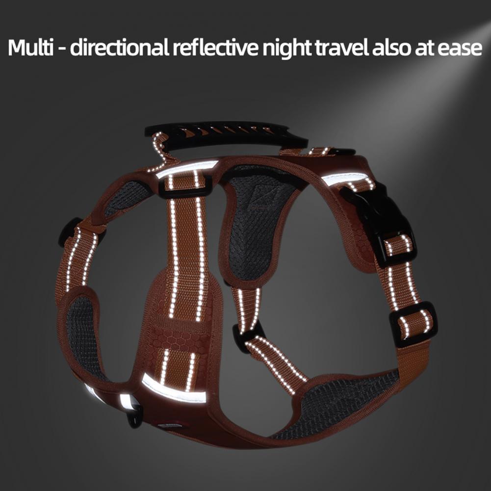 A Breathable Harness for Happy Runs and Relaxed Walks