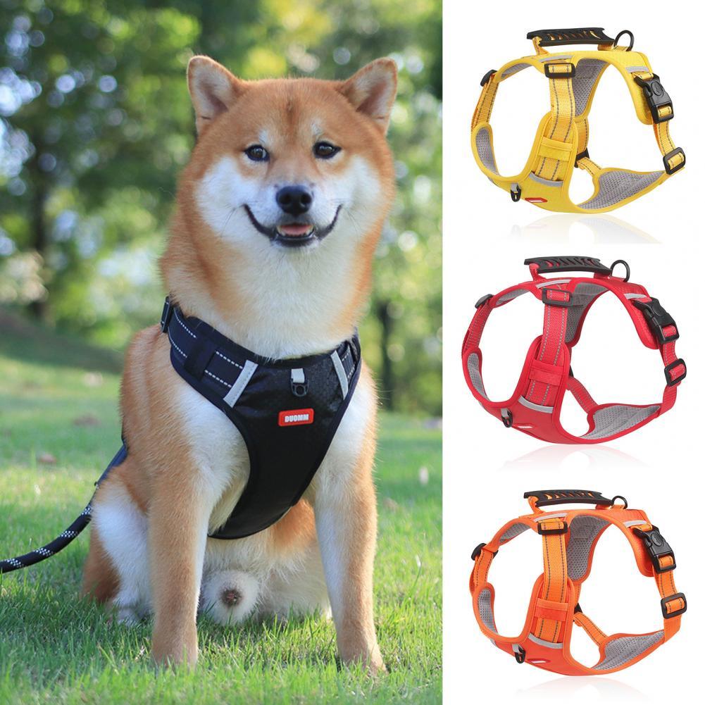 A Breathable Harness for Happy Runs and Relaxed Walks