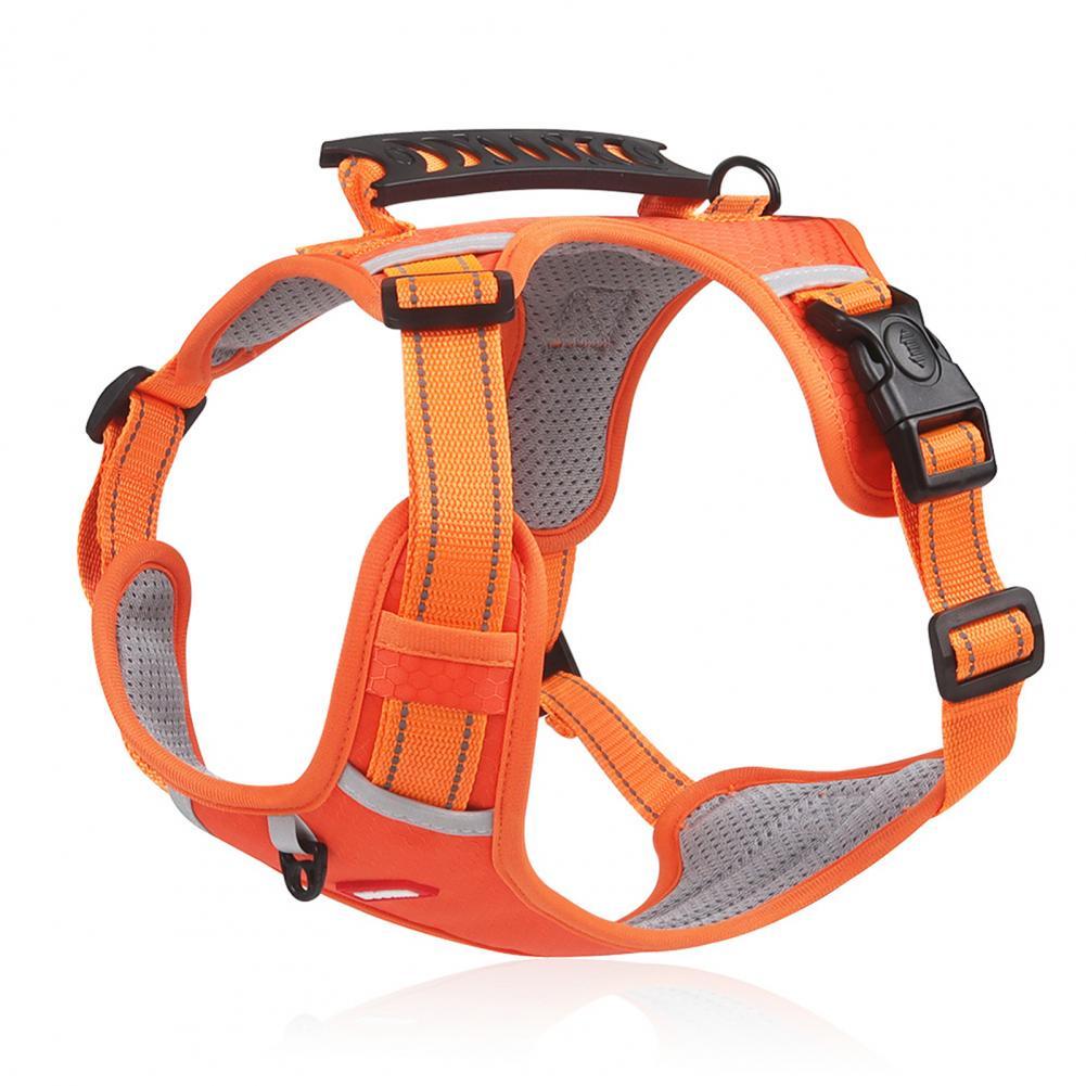 A Breathable Harness for Happy Runs and Relaxed Walks