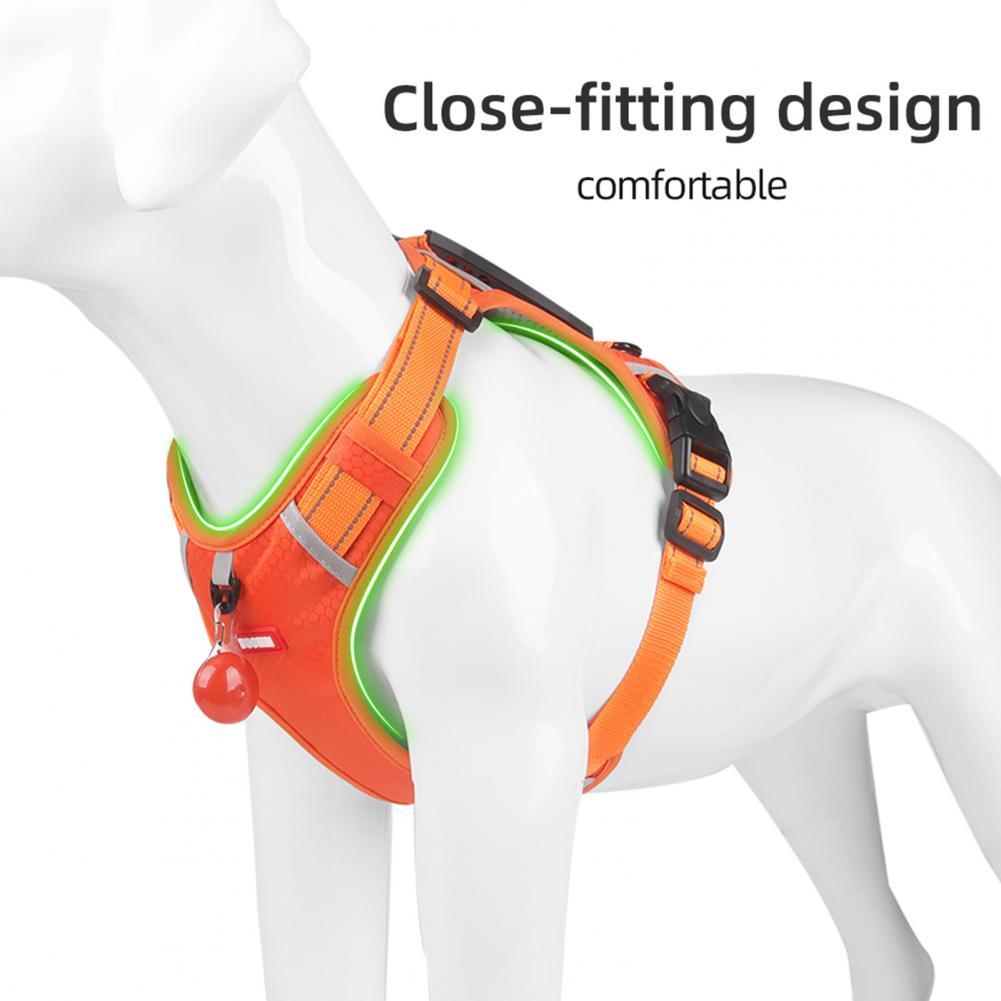 A Breathable Harness for Happy Runs and Relaxed Walks