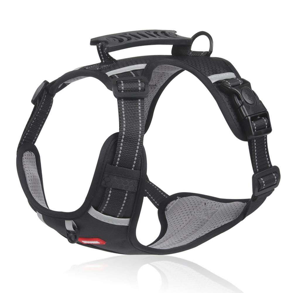 A Breathable Harness for Happy Runs and Relaxed Walks